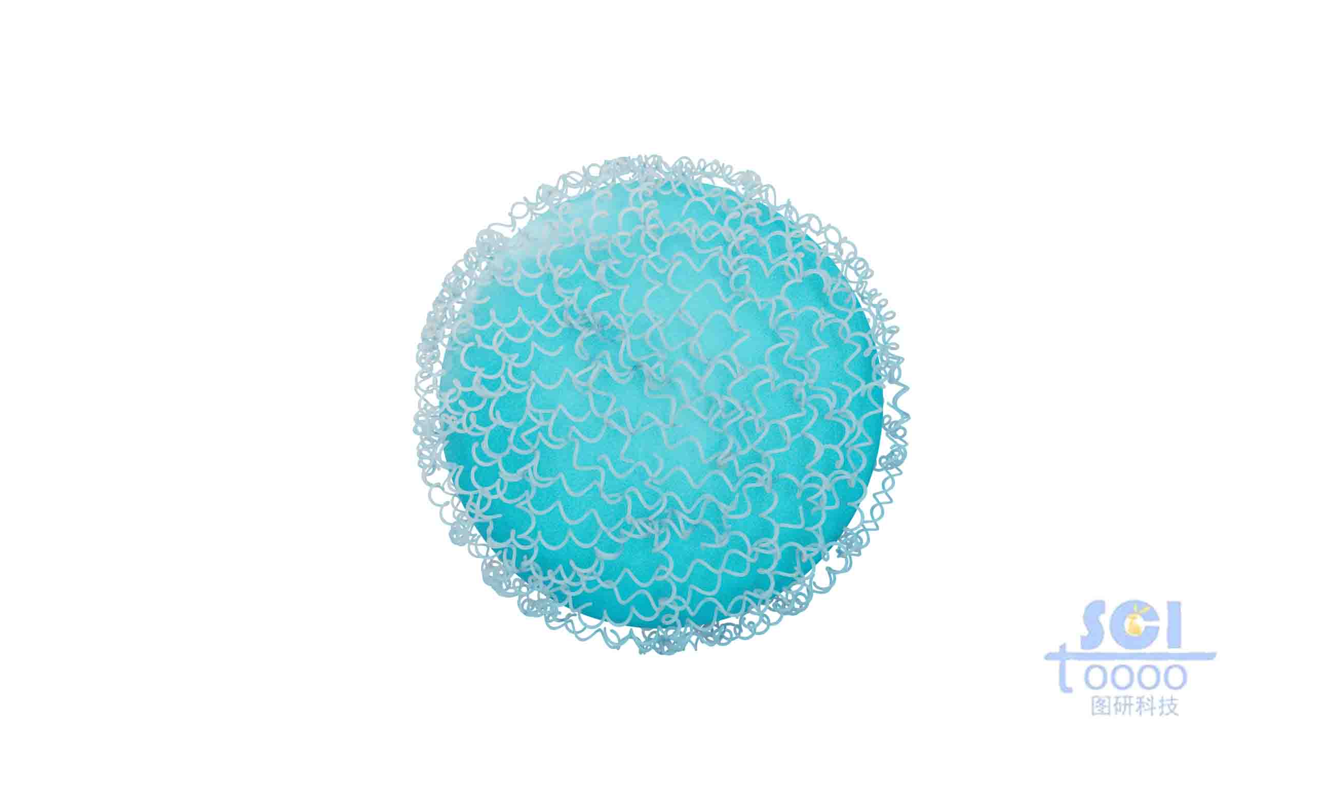 蛋白結(jié)構(gòu)聚合的納米球