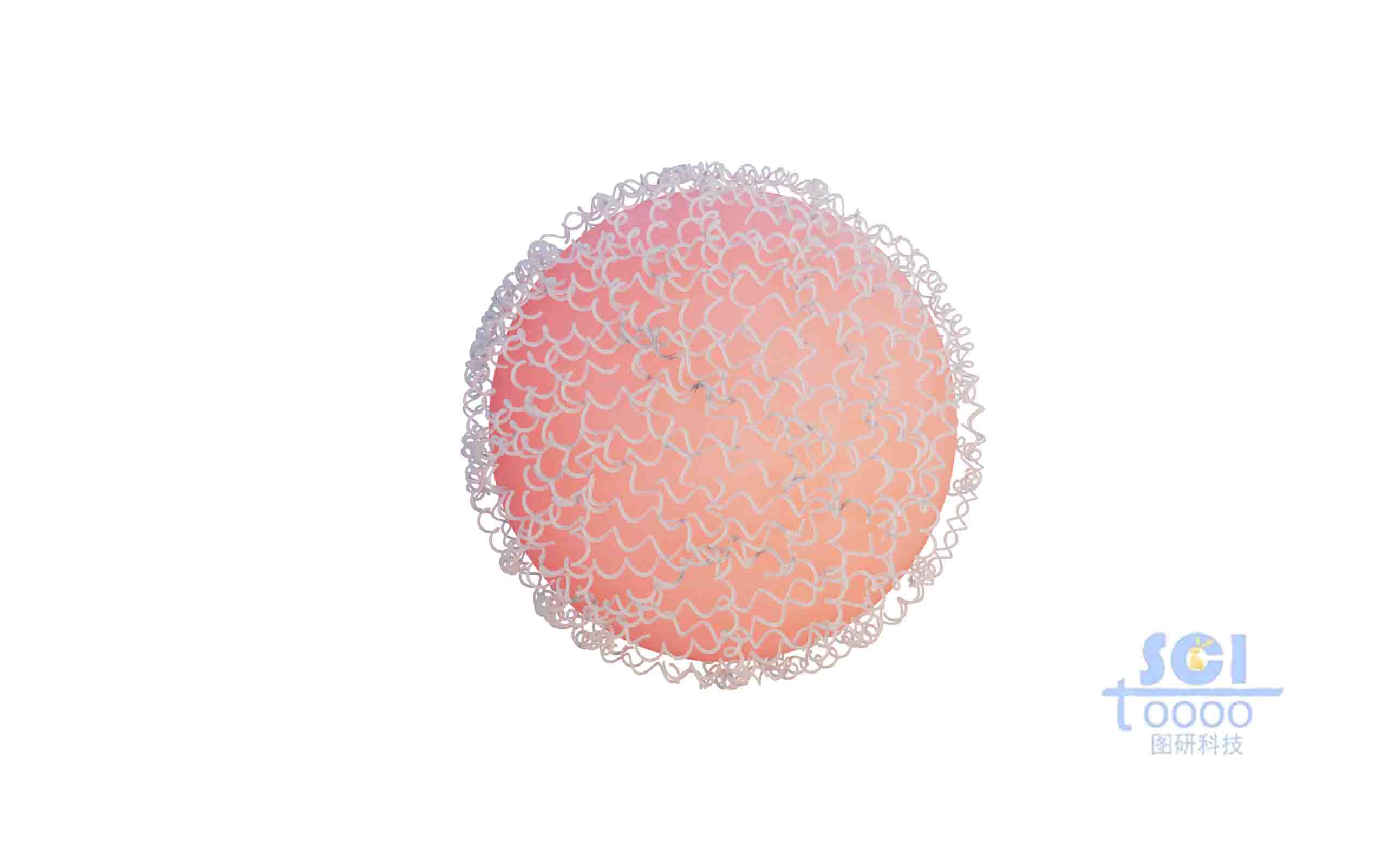 蛋白結(jié)構(gòu)聚合的納米球