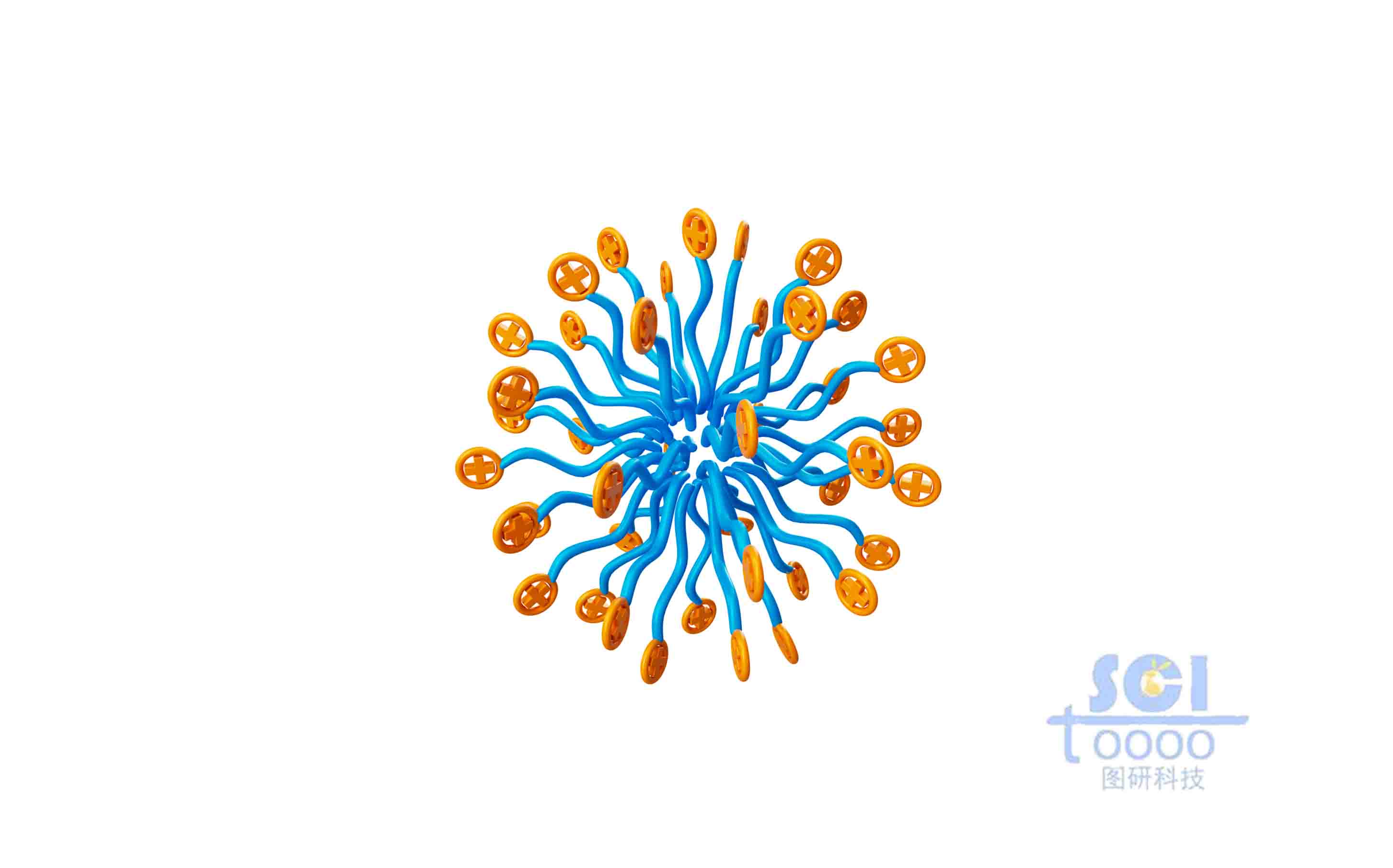 帶正電荷的高分子鏈放射狀團(tuán)聚成球