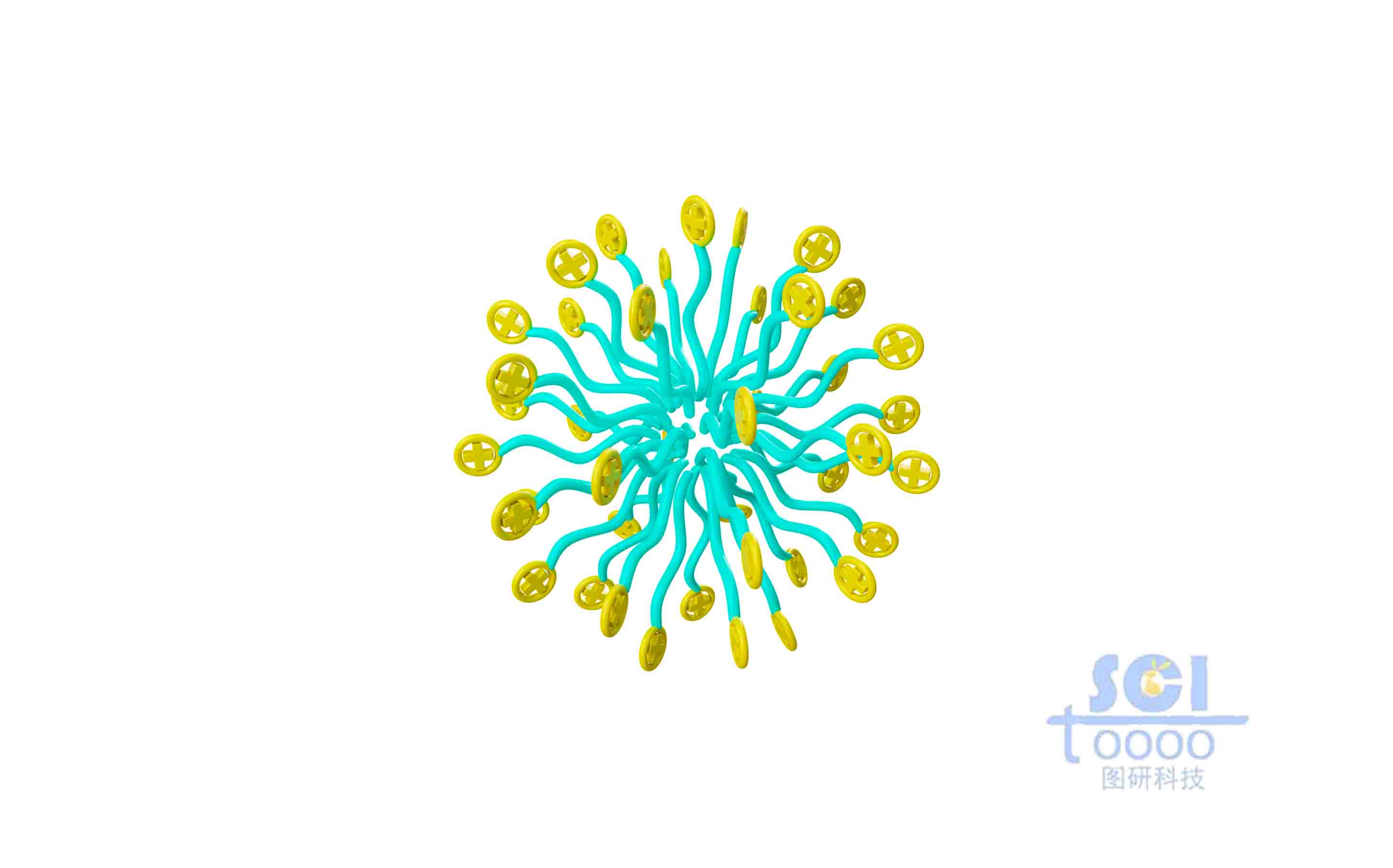 帶正電荷的高分子鏈放射狀團(tuán)聚成球