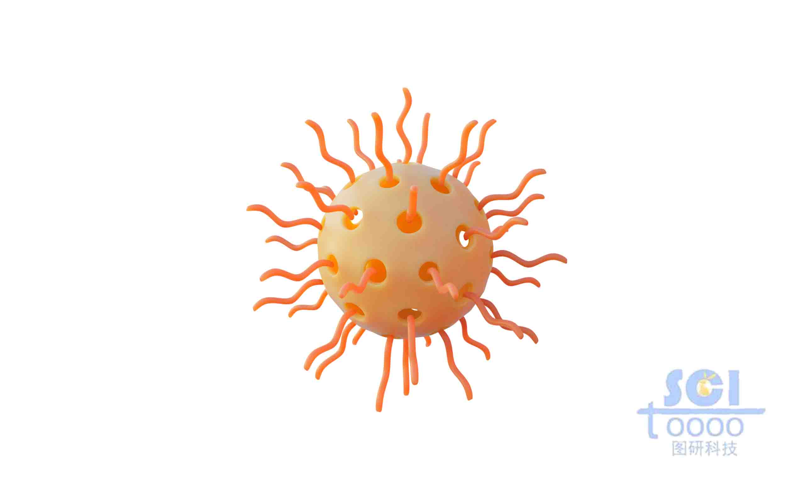 表面帶高分子鏈段的氧化硅介孔球