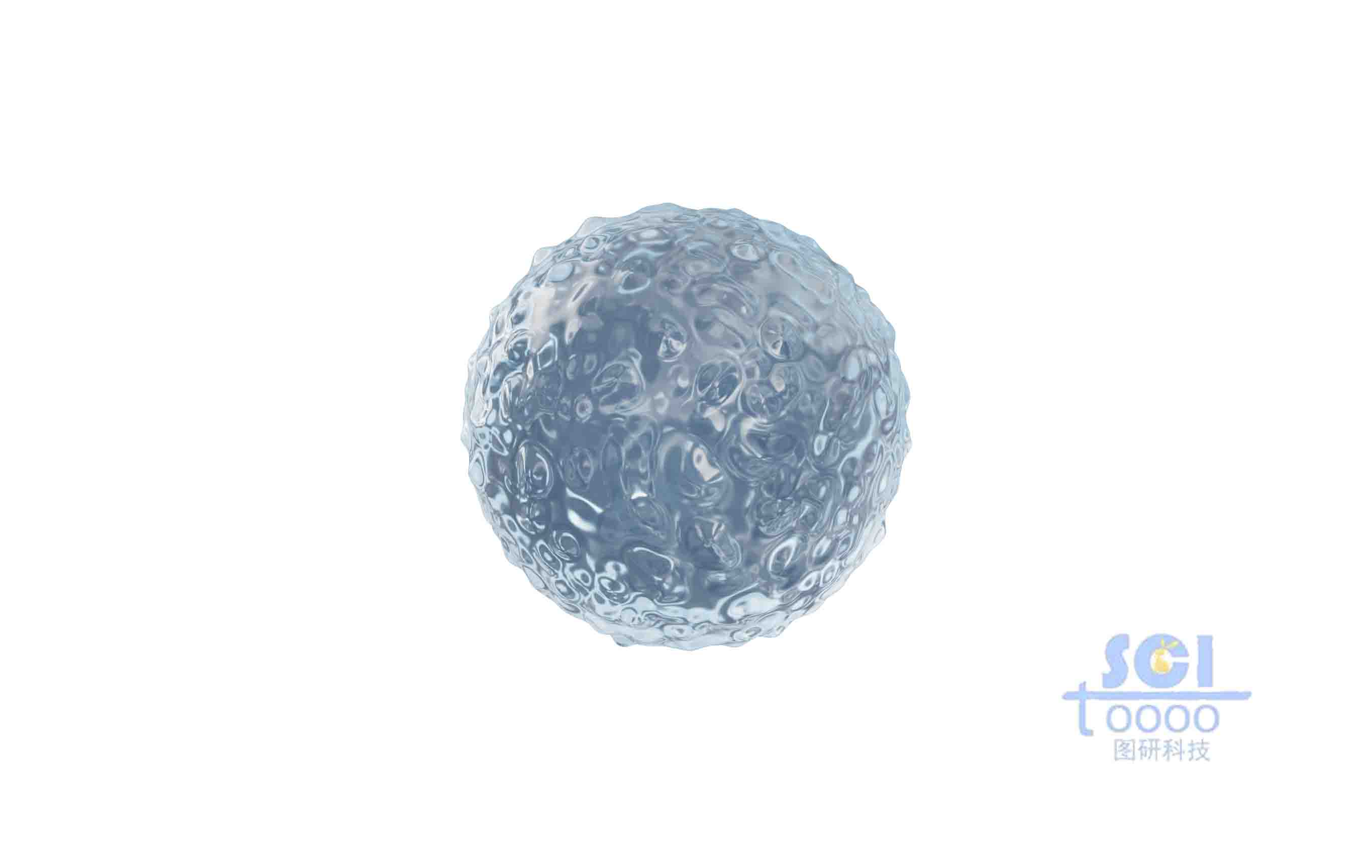 表面凹凸不平的小細(xì)胞