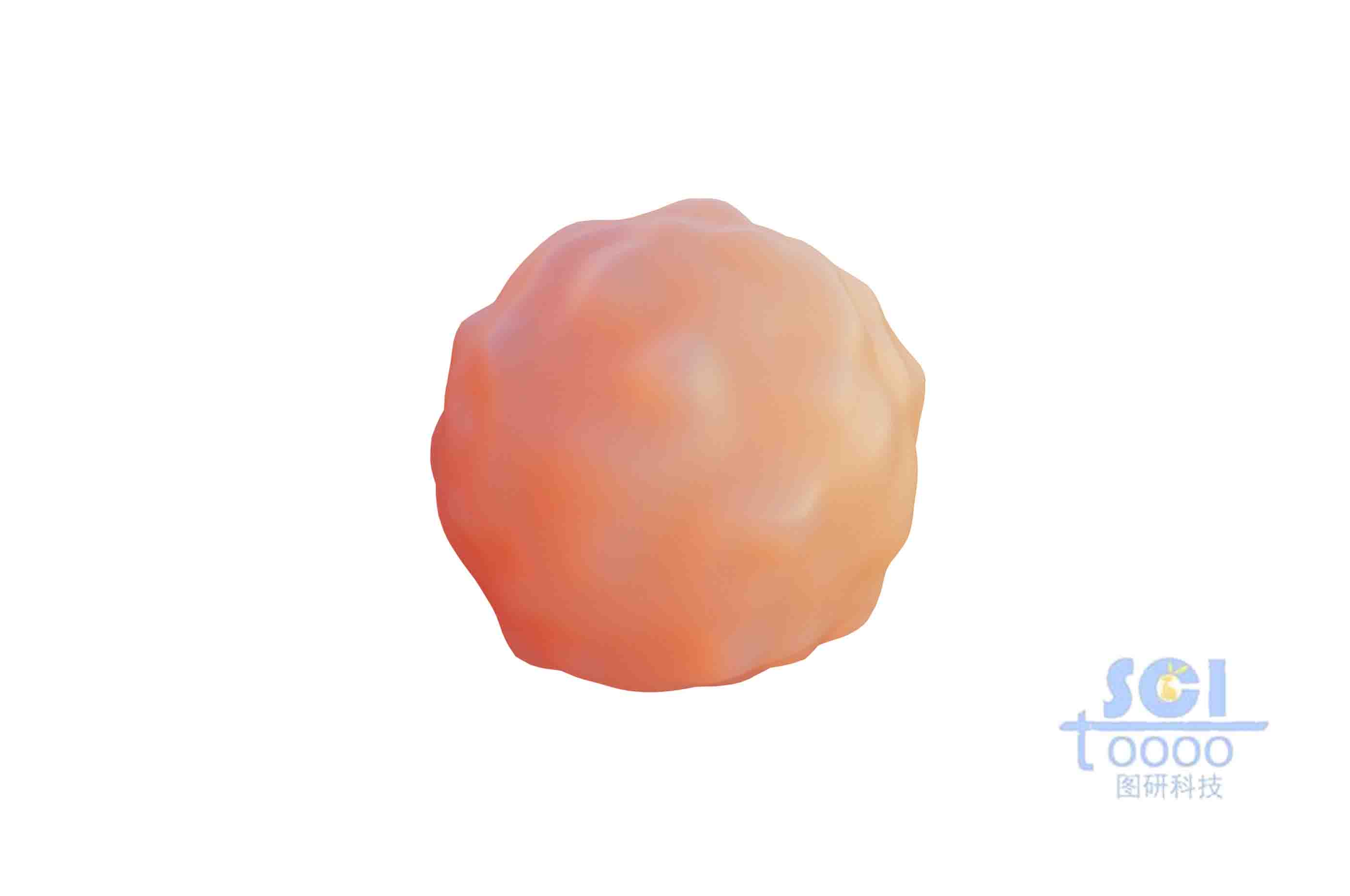 表面凹凸不平的細胞