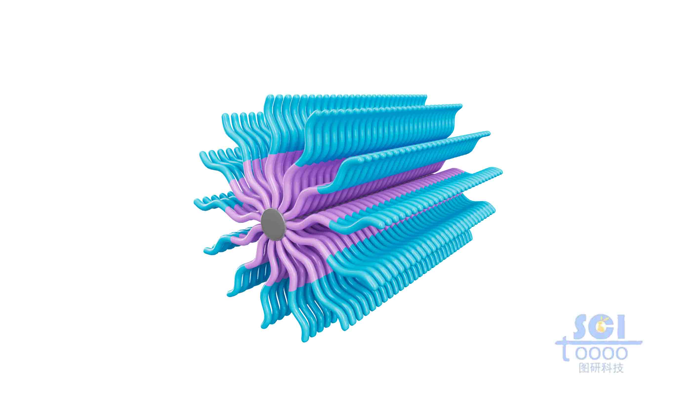 兩種不同高分子鏈段構(gòu)成的納米棒