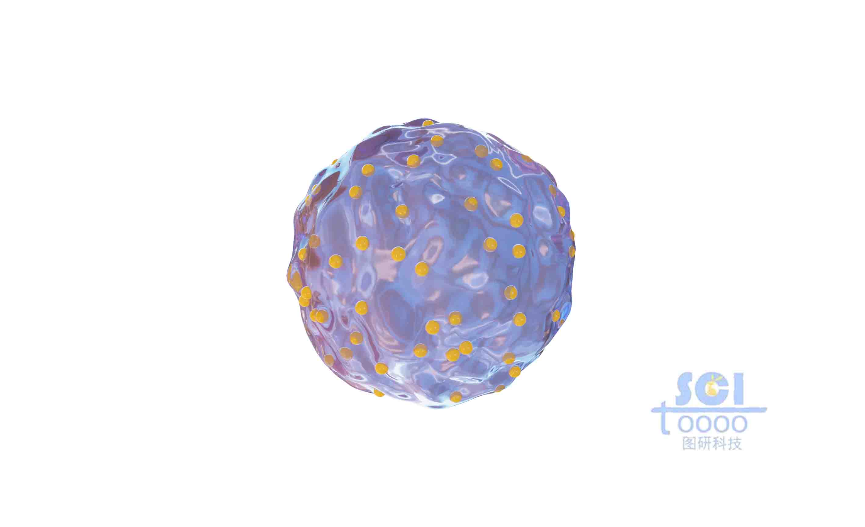 表面負載小球的細胞