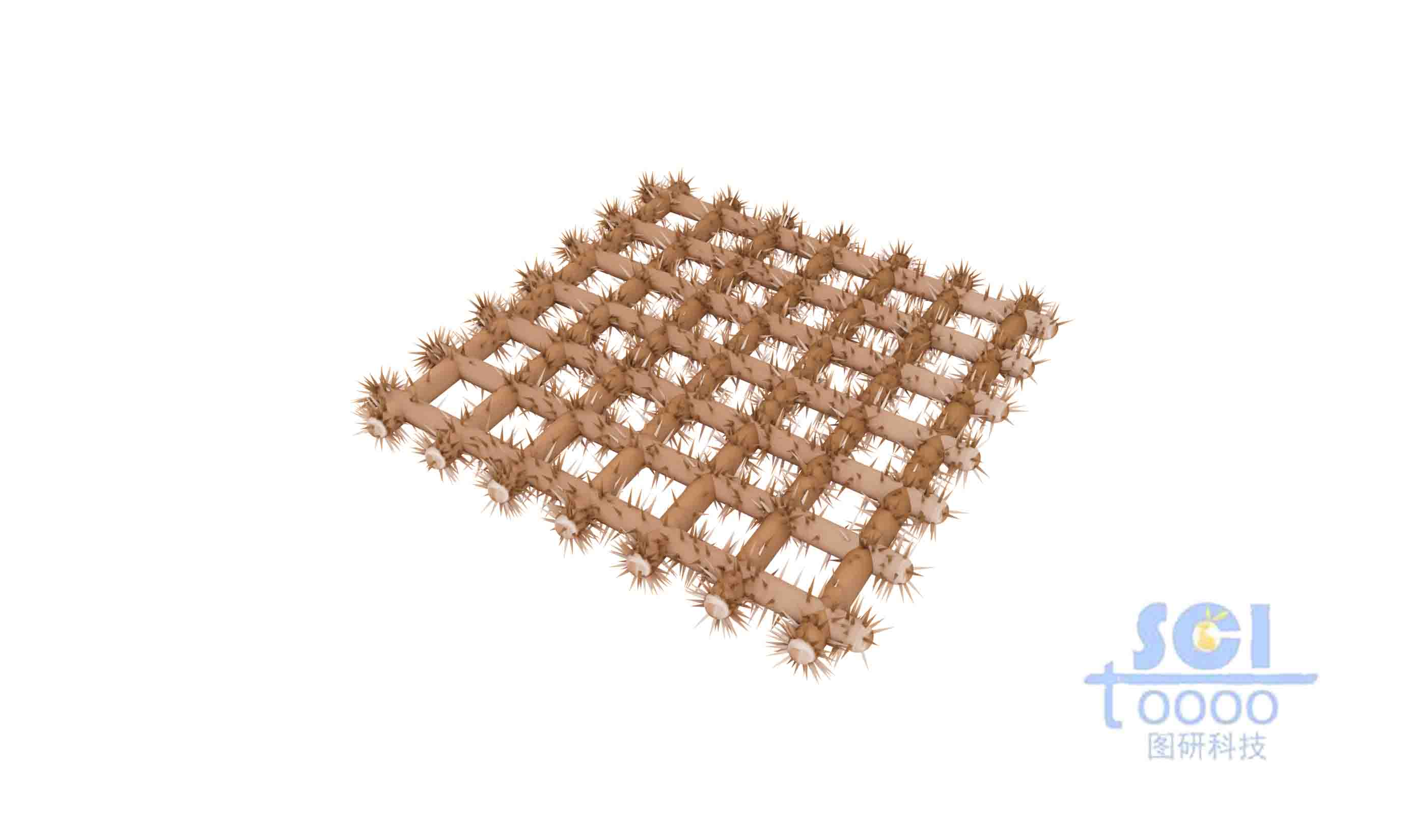 針狀凸起的荊棘狀編制網(wǎng)