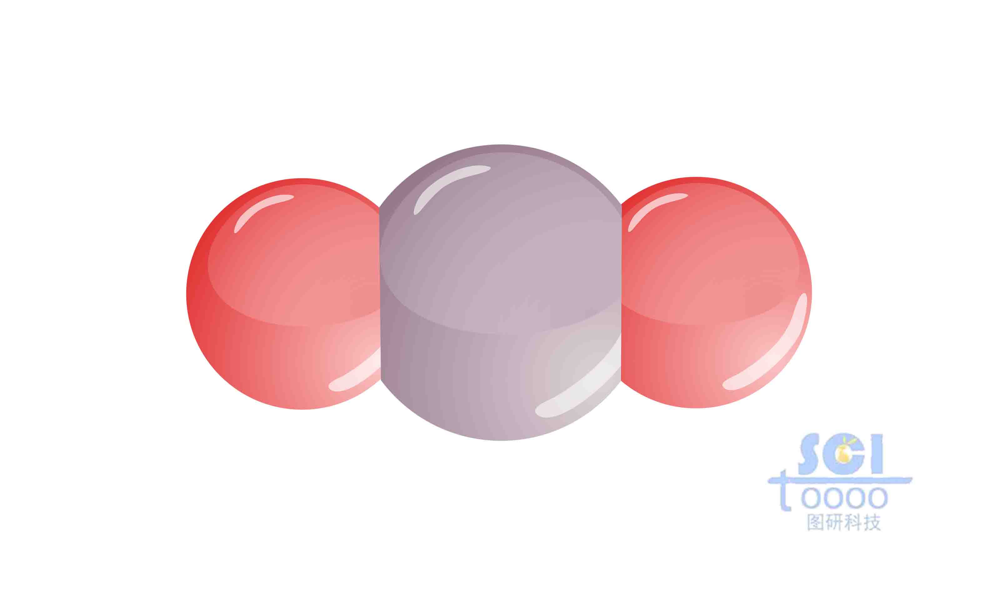 分子結(jié)構(gòu)