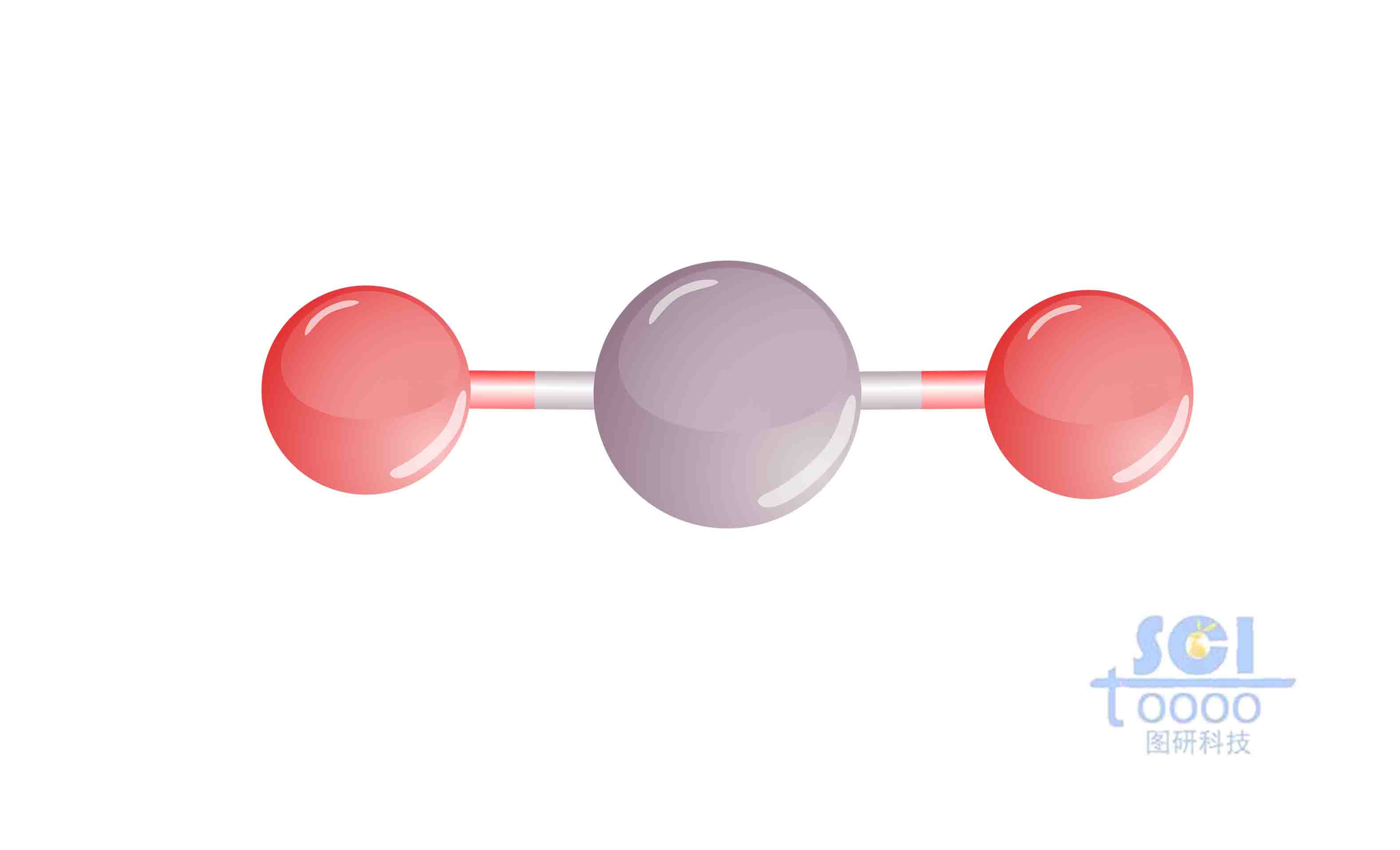 分子結(jié)構(gòu)