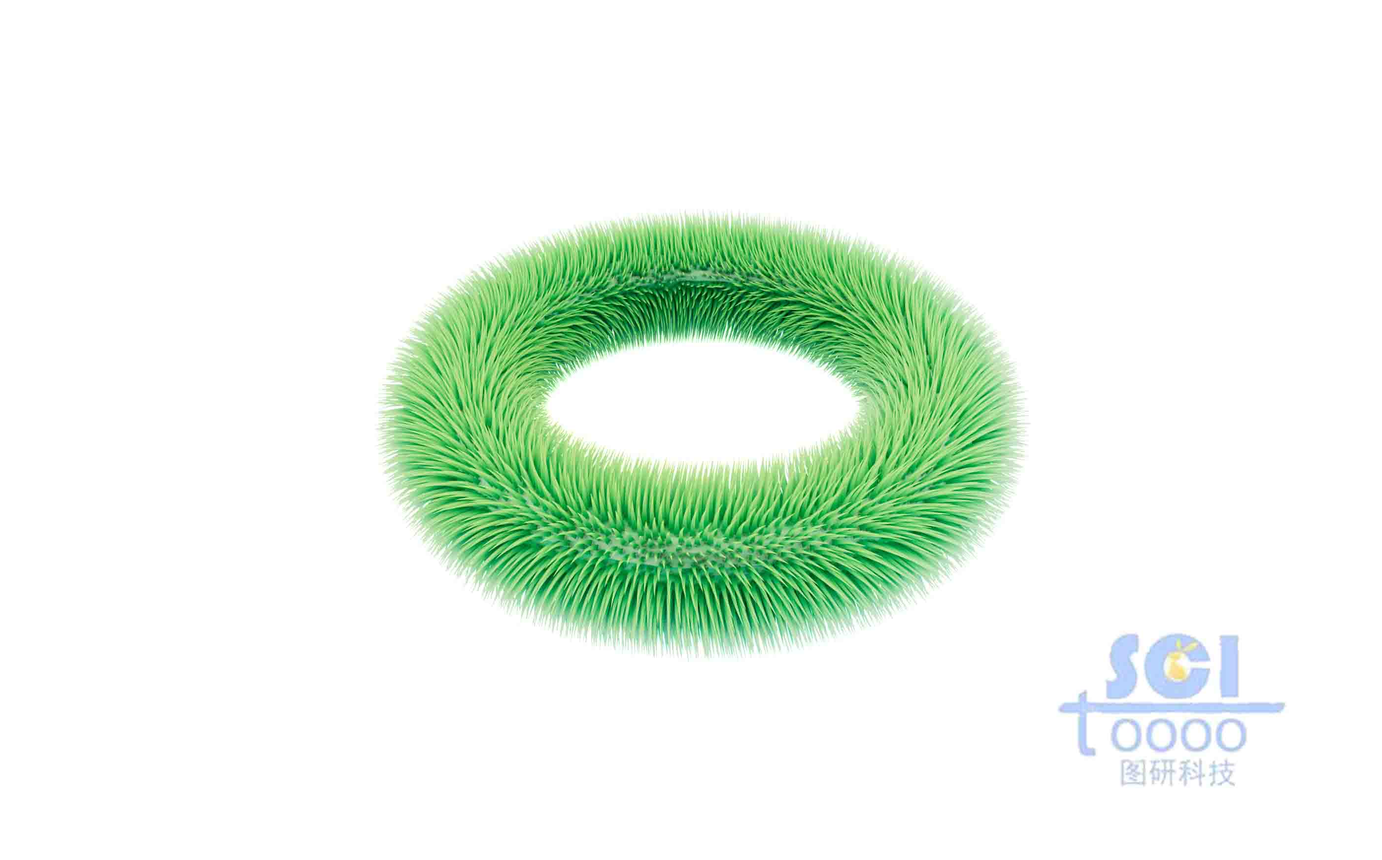 長毛刺的圓環(huán)