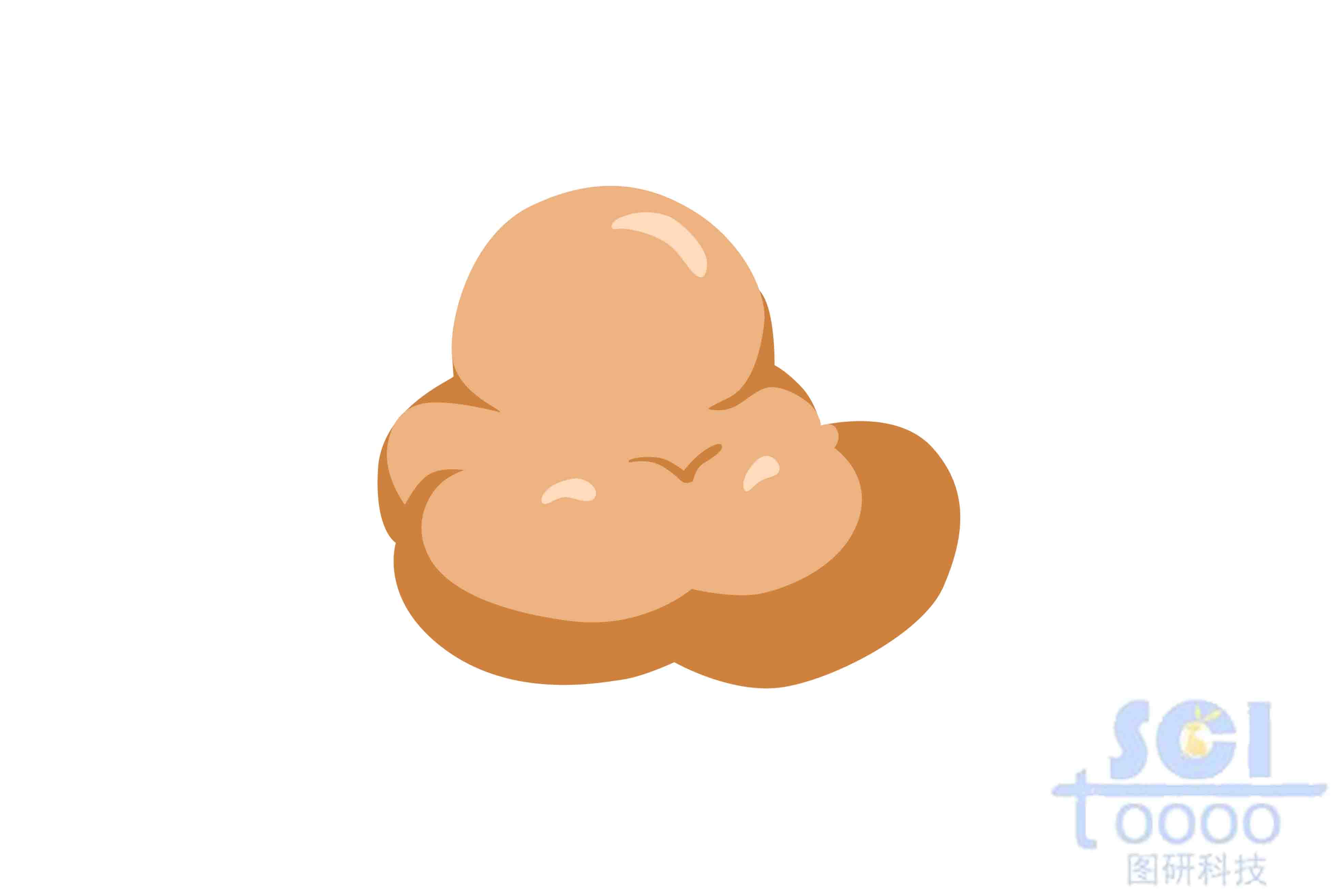 活化誘導(dǎo)的胞苷脫氨酶