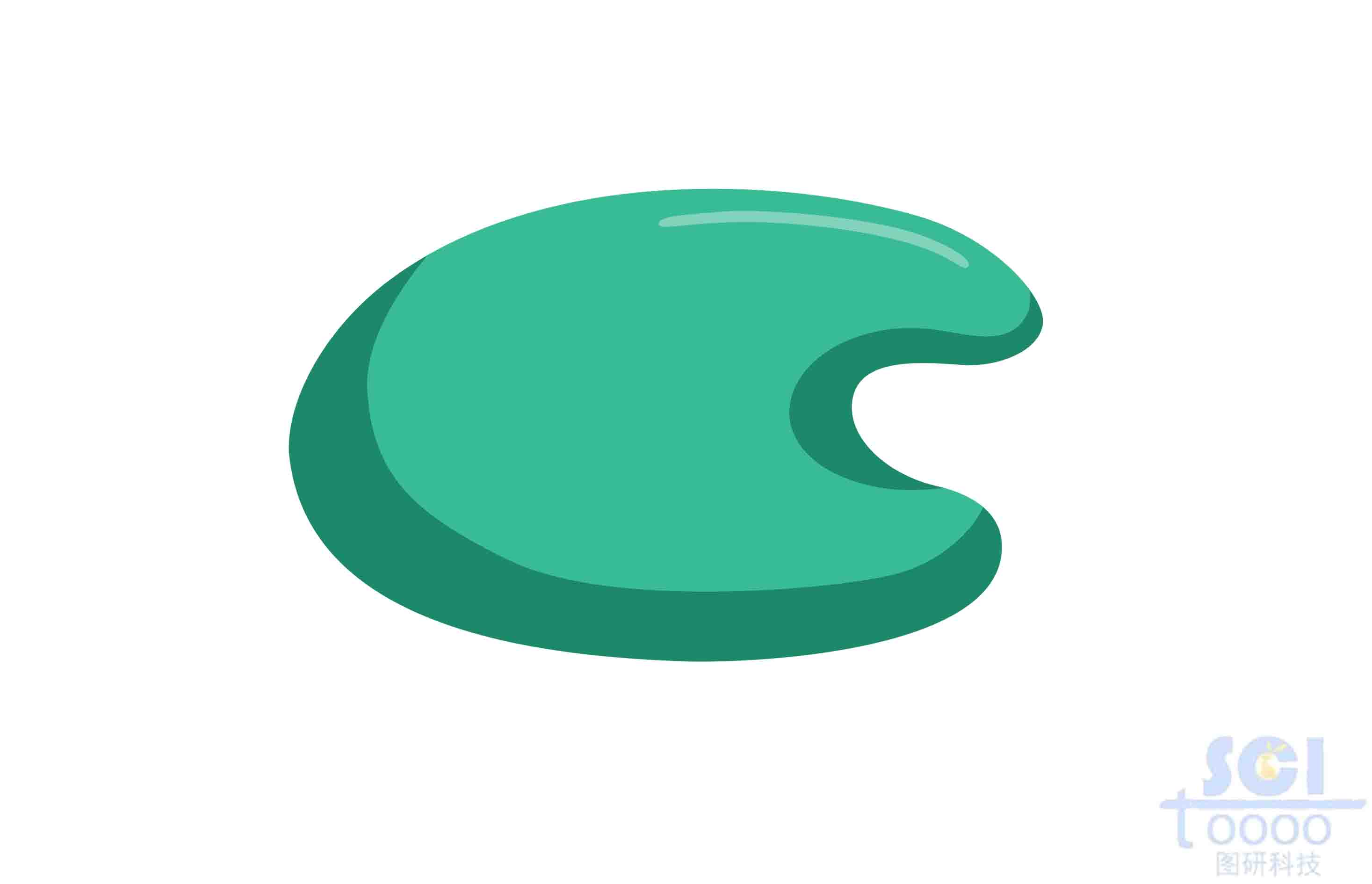 通用蛋白（扁豆型）