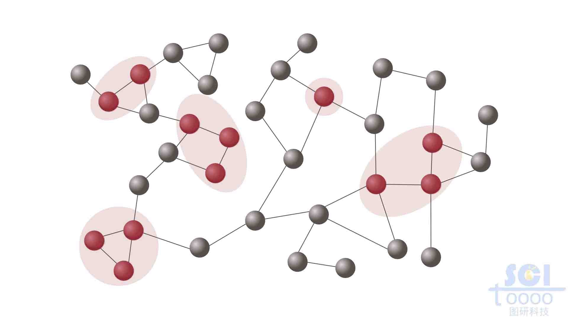 節(jié)點網(wǎng)