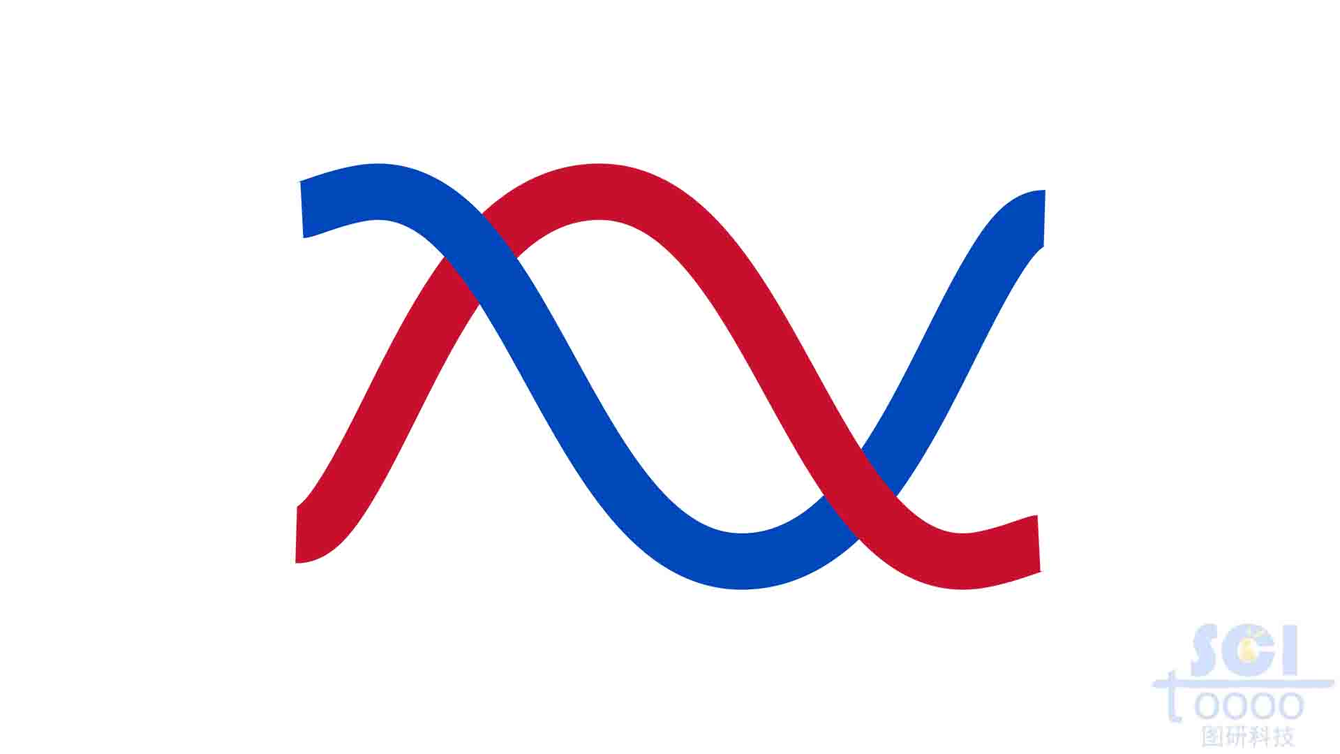 S型DNA