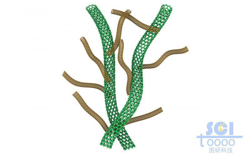 主干碳納米管上生長(zhǎng)分支小碳管