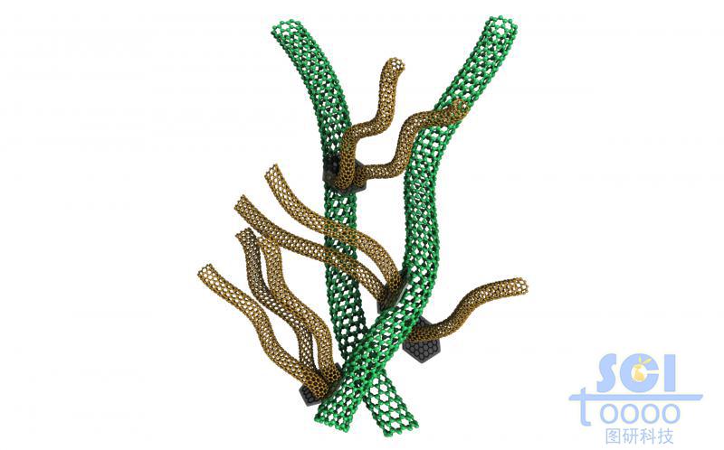 主干碳納米管上生長(zhǎng)分支小碳管