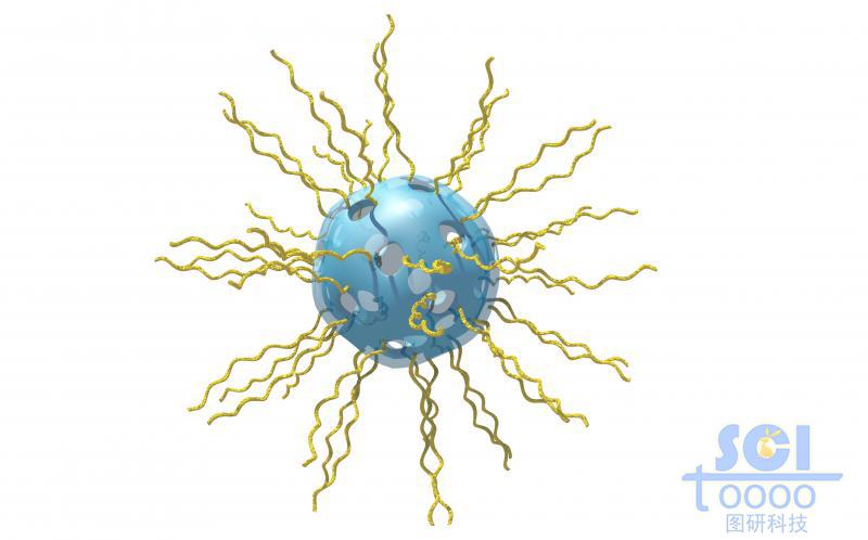 介孔硅表面負(fù)載雙鏈DNA