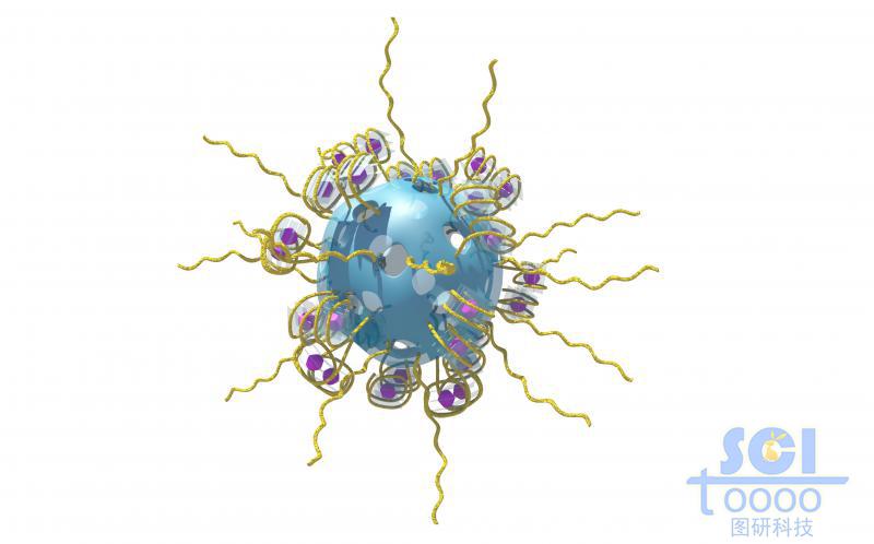 介孔硅表面裝飾負(fù)載藥物顆粒的四季子