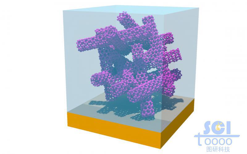 金基底板上的碳納米管堆積生長形成錯落的碳納米管骨架結(jié)構(gòu)