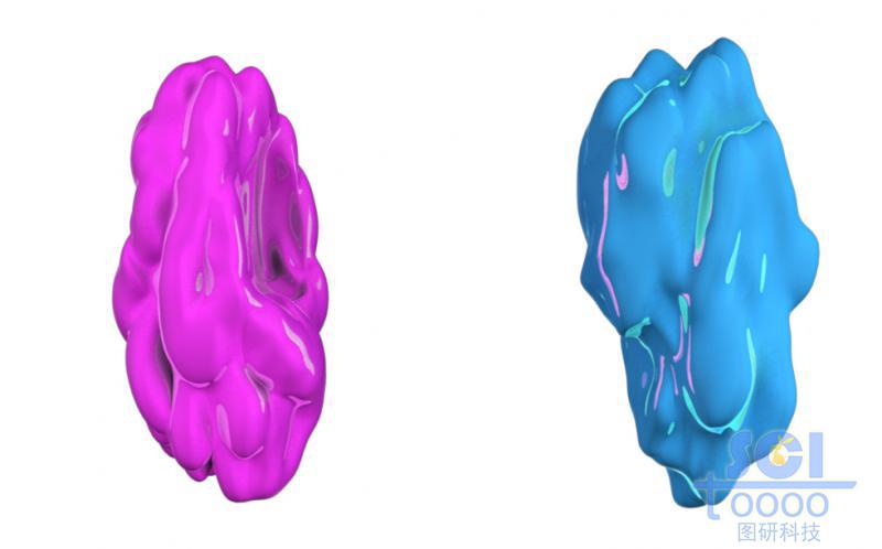 蛋白質(zhì)結(jié)構(gòu)