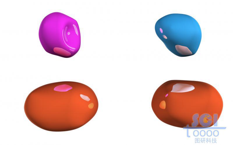 蛋白質(zhì)結(jié)構(gòu)