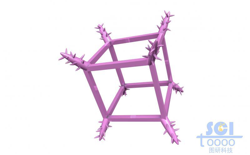 八臂納米骨架結(jié)構(gòu)