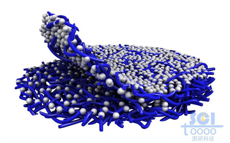高分子鏈段堆積的圓餅狀的疏水膜