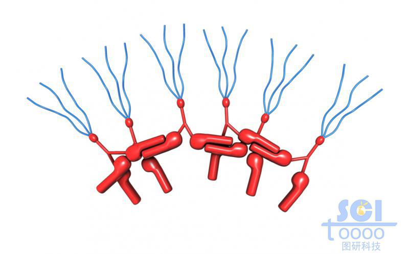 兩兩相扣相互交聯(lián)的分子模式圖