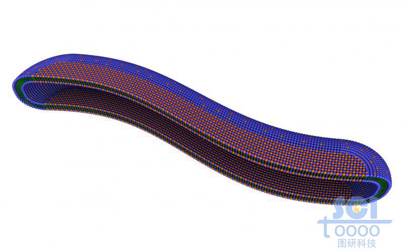 兩種單體構(gòu)成的長(zhǎng)條狀膠束