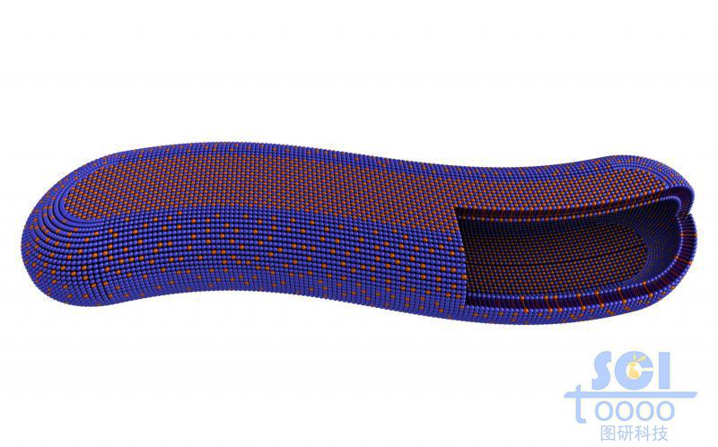 兩種單體構(gòu)成的長(zhǎng)條狀膠束