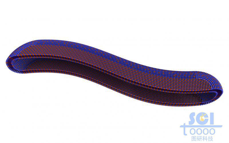 兩種單體構(gòu)成的長(zhǎng)條狀膠束