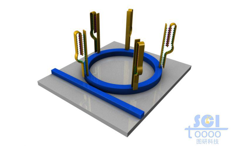帶DNA結(jié)構(gòu)的微型芯片