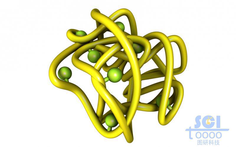 彎曲團(tuán)繞的高分子鏈段帶吸附位點(diǎn)結(jié)構(gòu)