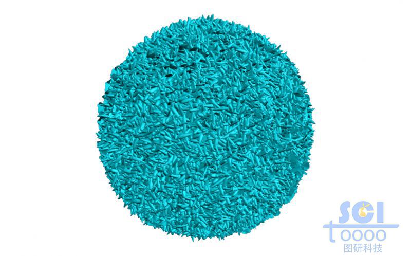 花瓣?duì)顖F(tuán)簇形成的納米顆粒/微球