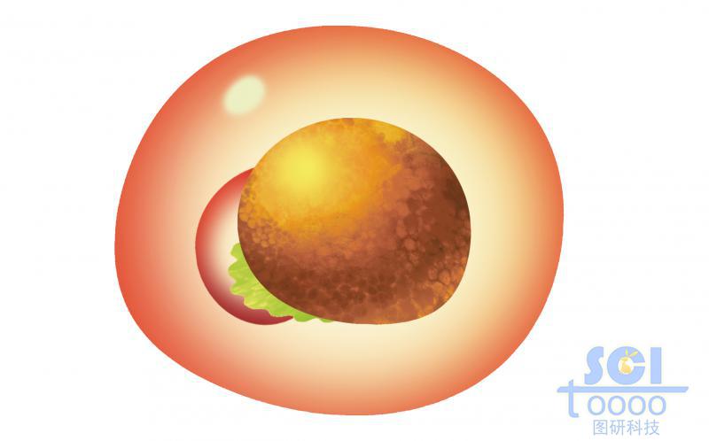 成血成血管干細(xì)胞