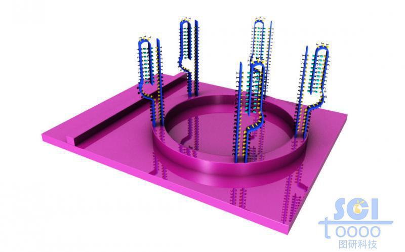 帶DNA結(jié)構(gòu)的微型芯片