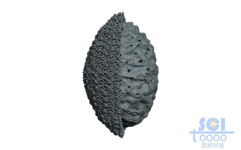 外層細密小孔內(nèi)部大孔的核殼雙層納米結構