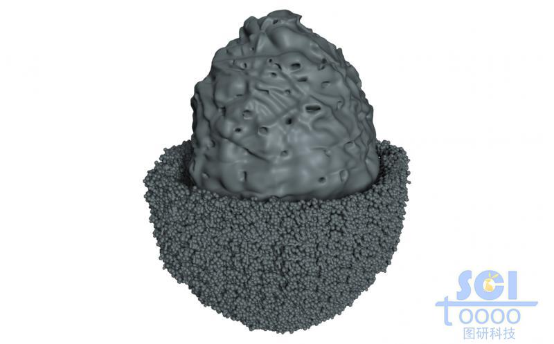 外層細密小孔內(nèi)部大孔的核殼雙層納米結構
