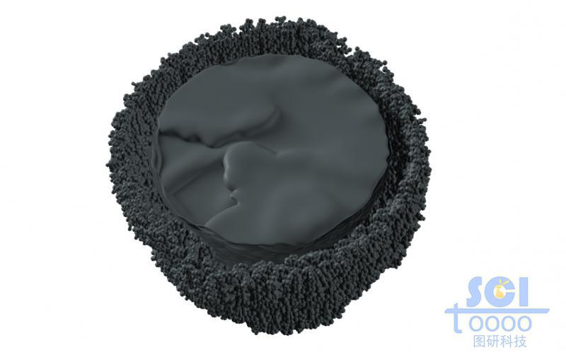 外層細密小孔內(nèi)部大孔的核殼雙層納米結構