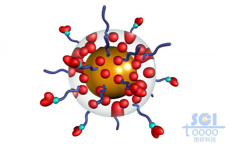 透明膜包裹的金納米球和染料分子外表層帶高分子鏈段修飾