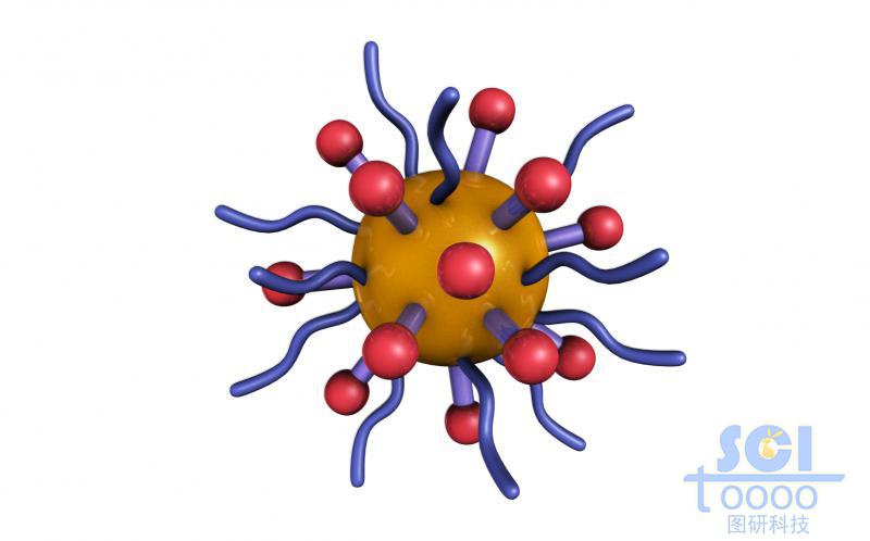 表面修飾巰基與高分子鏈的納米金顆粒