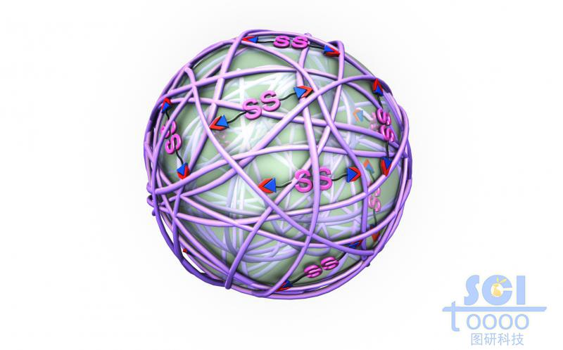 透明質(zhì)酸納米凝膠粒子