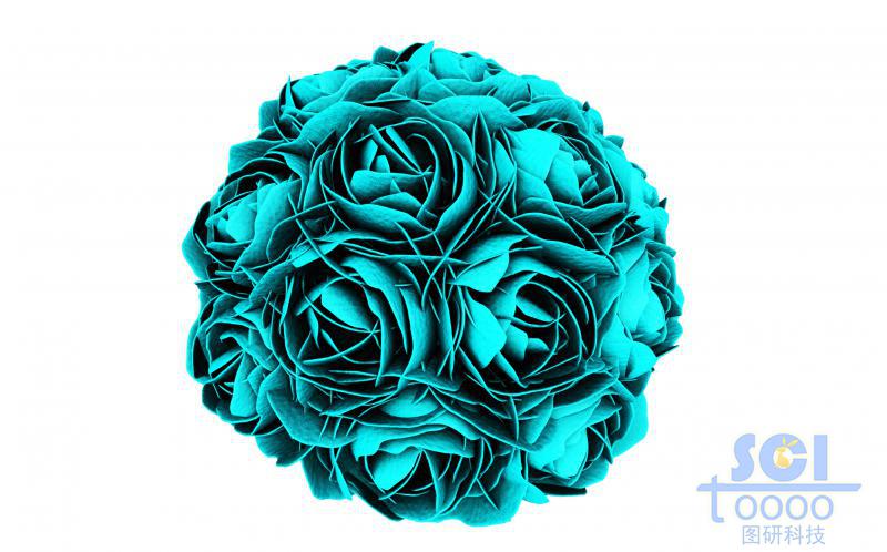 牡丹花團(tuán)簇狀納米結(jié)構(gòu)