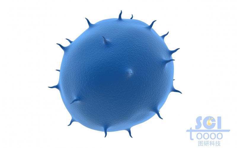 表面帶突起/觸角的病毒/細胞結(jié)構(gòu)