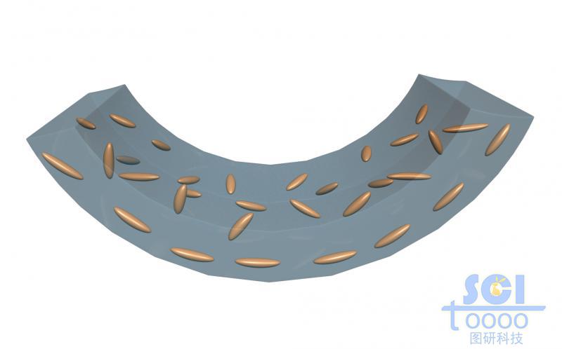 帶液晶基元的柔性膜片