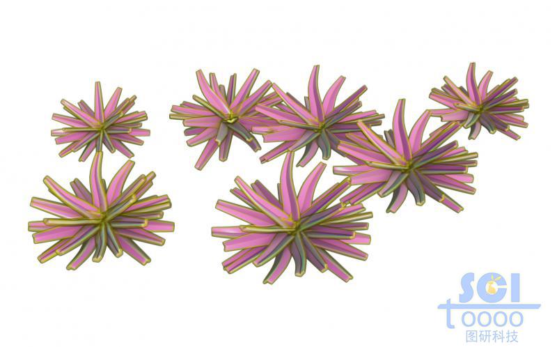 晶體團(tuán)簇形成的雙層結(jié)構(gòu)的納米花