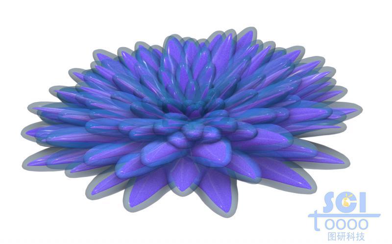 晶體團(tuán)簇形成菊花狀納米花