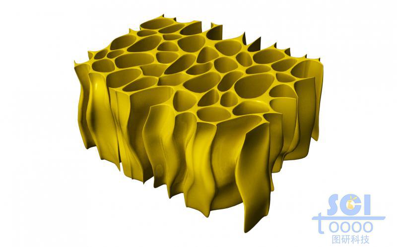 殼聚糖多孔結構