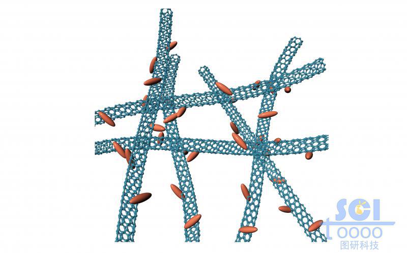表面附著紡錘狀結(jié)構(gòu)的縱橫交錯的碳納米管