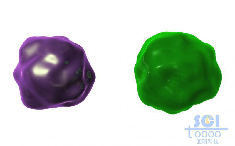 無具體特征的通用性病毒/細胞