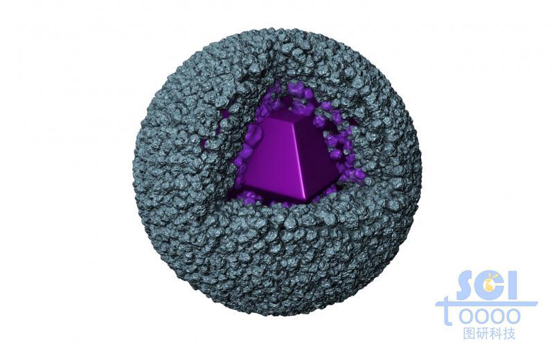 納米顆粒堆積的表面多孔道的空心球殼結構內(nèi)部生長多面體結晶